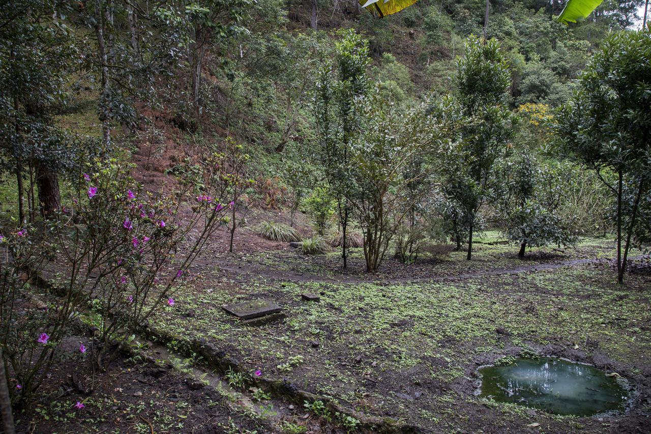 Casa Kirvá Hotel Cobán Kültér fotó
